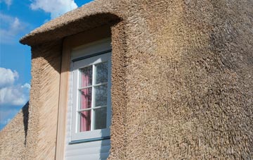Benslie thatch roof disadvantages
